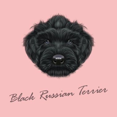 Vektör resimli portre, Siyah Rus Terrier köpek. 
