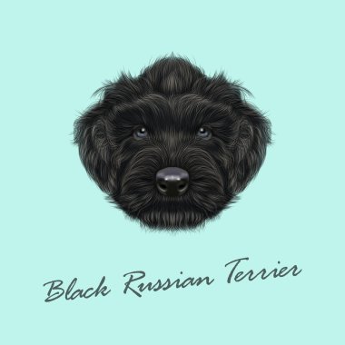 Vektör resimli portre, Siyah Rus Terrier köpek. 