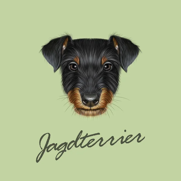 Retrato ilustrado vetorial de cão Jagdterrier . — Vetor de Stock