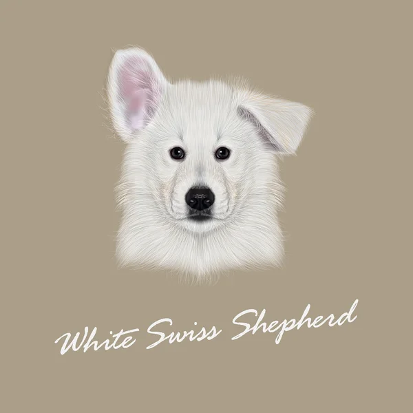 Portrait illustré vectoriel du chien berger suisse blanc — Image vectorielle