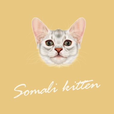Somali kedi yavrusu vektör Illustrated portresi.