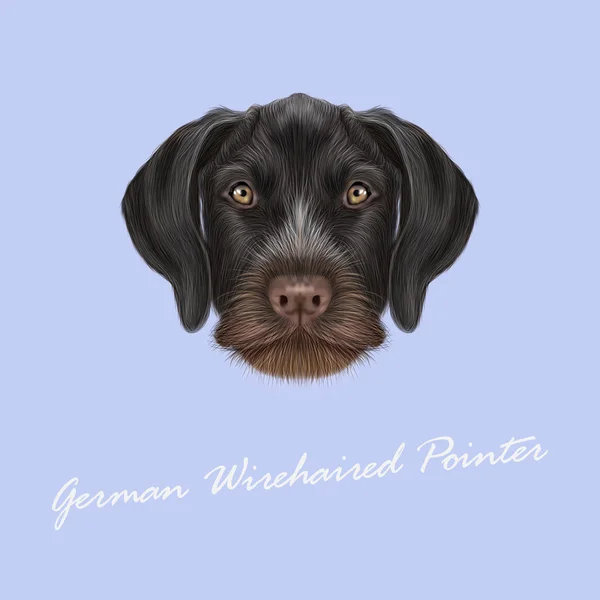 Vector Illustrated Ritratto del cane puntatore Wirehaired tedesco . — Vettoriale Stock
