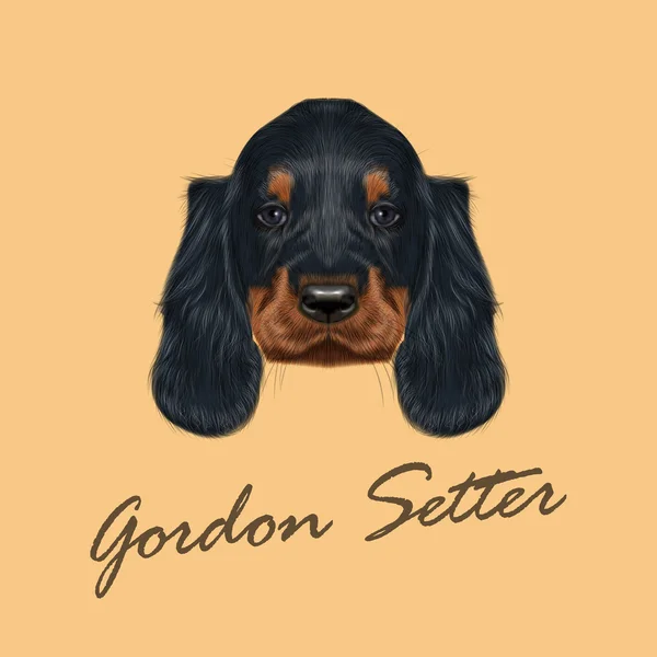 Vector retrato ilustrado del perro Gordon Setter . — Vector de stock