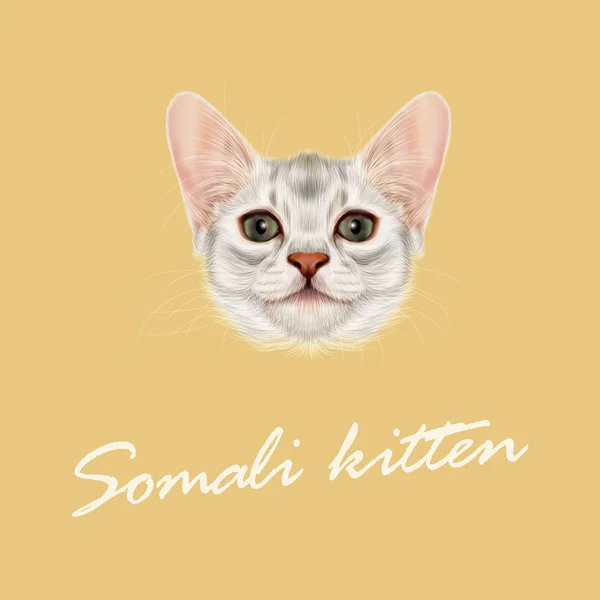 Vetor Retrato ilustrado do gatinho somali . — Vetor de Stock