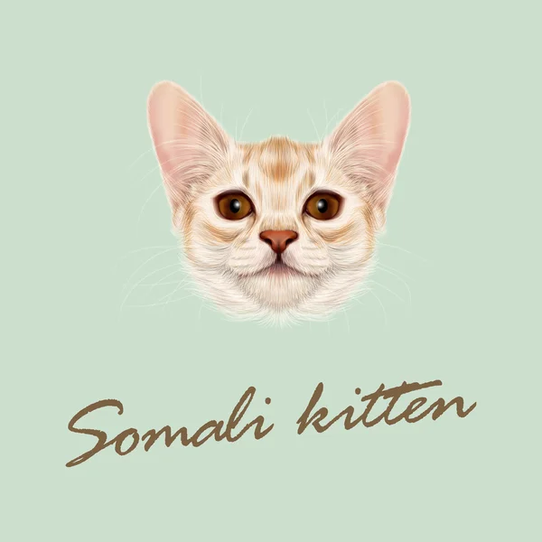 Vektorový portrét ilustrovaná somálský kotě. — Stockový vektor