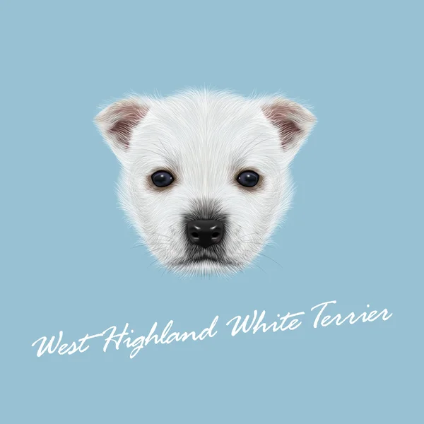 Vector Illustrated Portrait of West Highland White Terrier. — Stock Vector