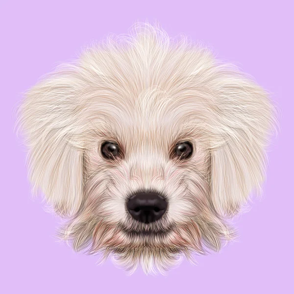 Ilustrovaný portrét Komondor štěně. — Stock fotografie