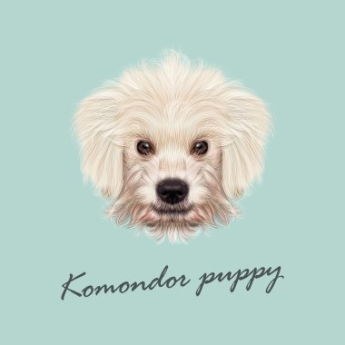Vektör resimli portre, Komondor köpek yavrusu.