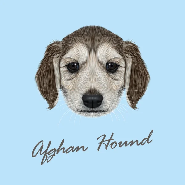 Vector illustrerad porträtt av Afghanhund valp. — Stock vektor