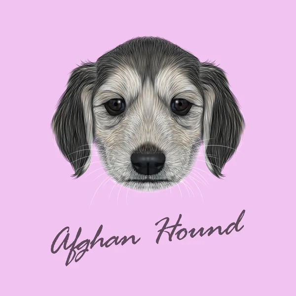 Vector retrato ilustrado del cachorro Afghan Hound . — Archivo Imágenes Vectoriales
