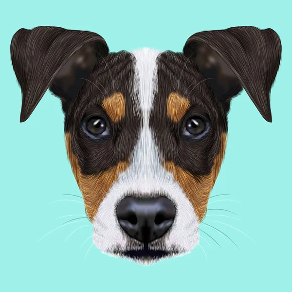 Illustrerade porträtt av Ratonero Bodeguero Andaluz hund. — Stockfoto