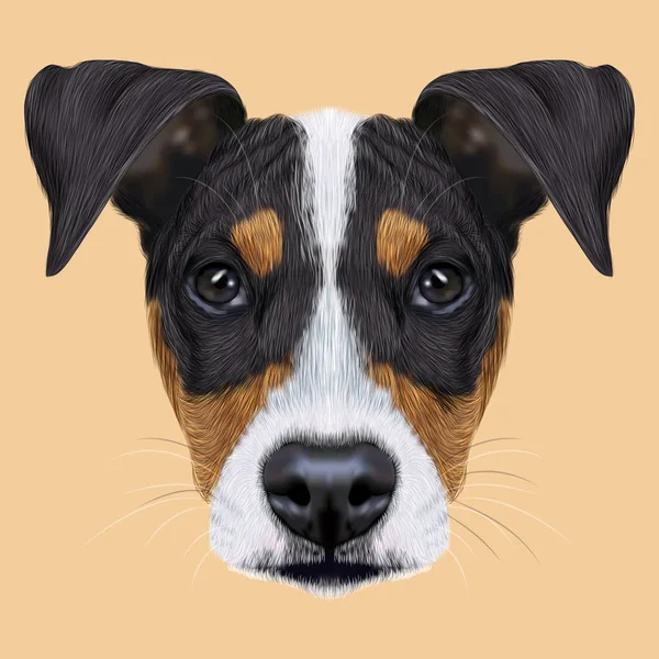 Illustrated Portrait of Ratonero Bodeguero Andaluz dog. — Stock Photo, Image