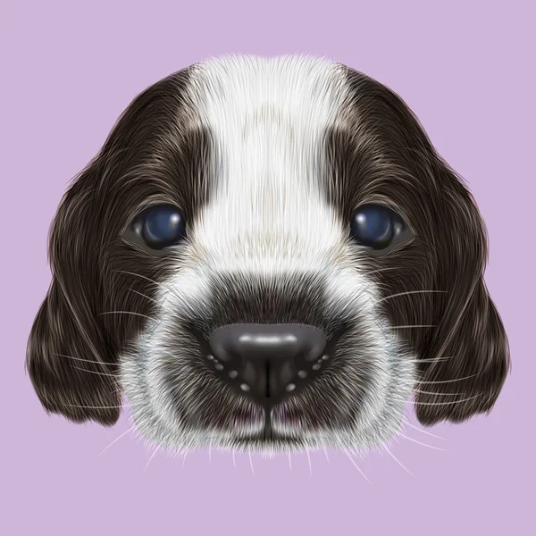 Иллюстрированный портрет русского щенка-спаниеля . — стоковое фото