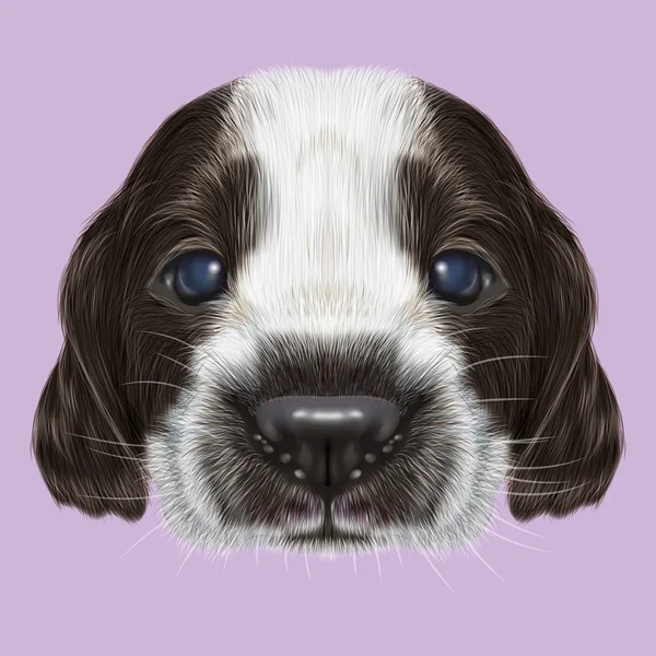 Ilustrowane portret rosyjski Spaniel szczeniak. — Zdjęcie stockowe