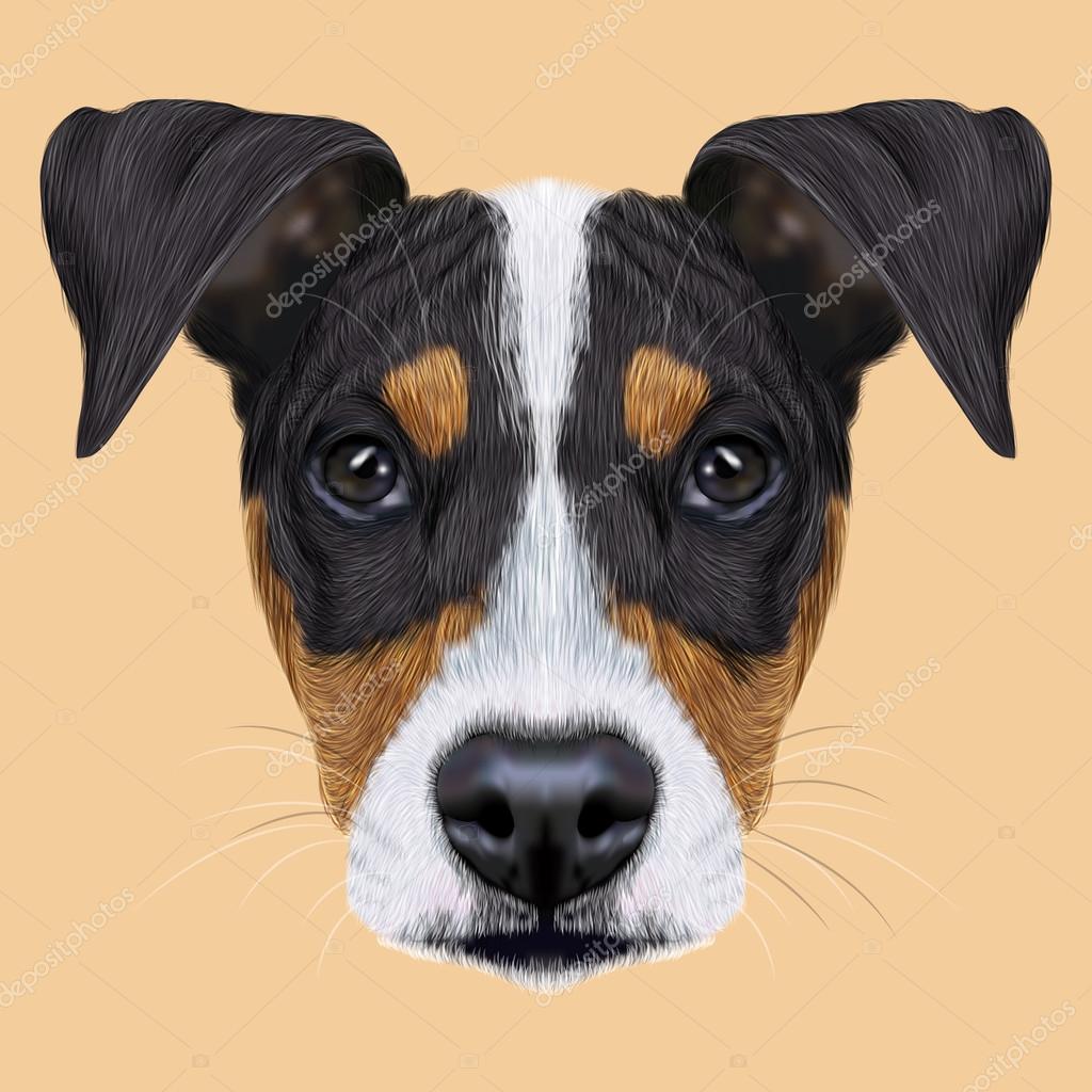 Illustrated Portrait Of Ratonero Bodeguero Andaluz Dog Stock Photo C Ant Art 111298134