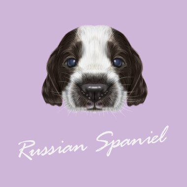 Vektör Illustrated portre Rus Spaniel köpek yavrusu.