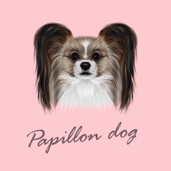 Vettore Illustrato Ritratto di cane Papillon . — Vettoriale Stock