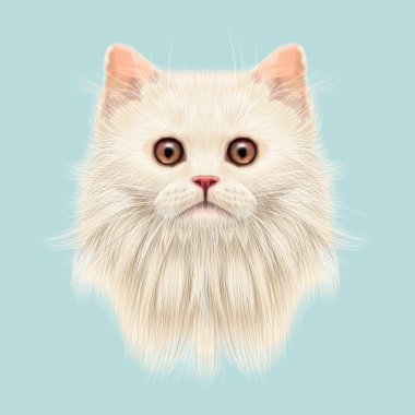 Resimli portre yerli kedi.