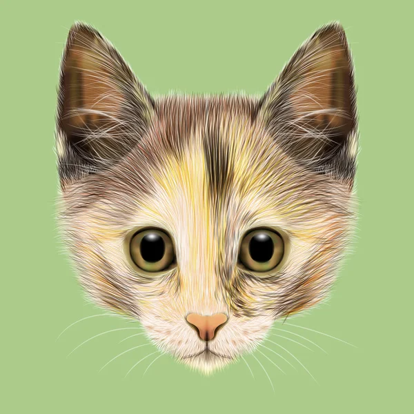 Illustrated portrait of Domestic cat. — Stock Photo, Image