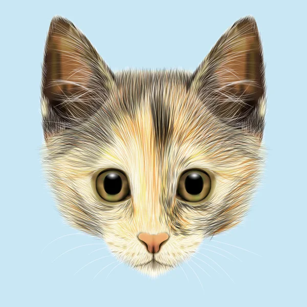 Illustrated portrait of Domestic cat. — Stock Photo, Image