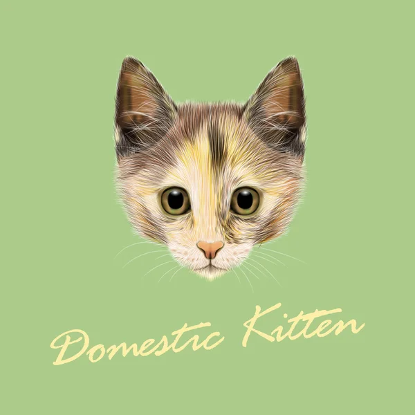 Vector Illustrated portrait of Domestic cat. - Stok Vektor