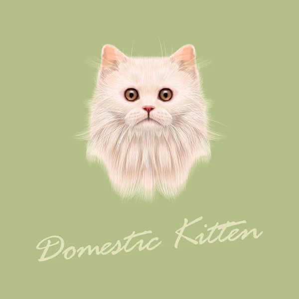 Retrato ilustrado vetorial de gato doméstico . —  Vetores de Stock