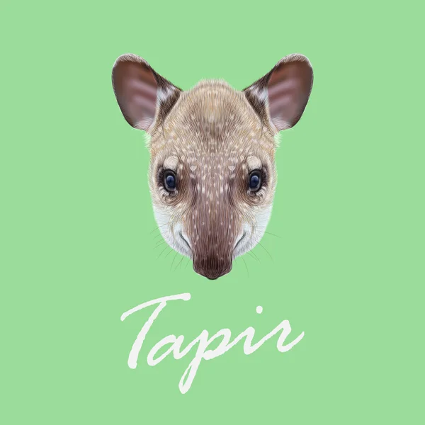 Retrato ilustrado vetorial de Tapir . — Vetor de Stock