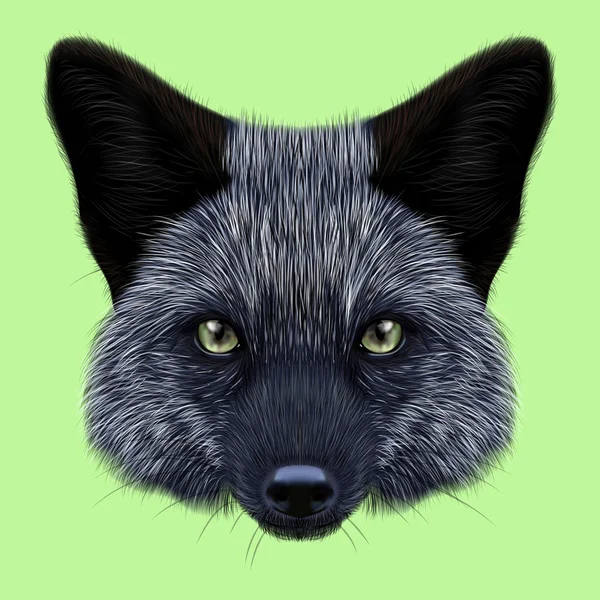 Ilustrowane portret Silver fox. — Zdjęcie stockowe