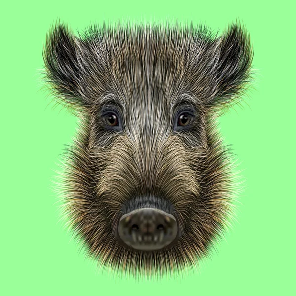 Illustrated of Wild boar. — Stock Photo, Image