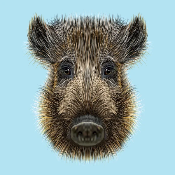 Illustrated of Wild boar. — Stock Photo, Image