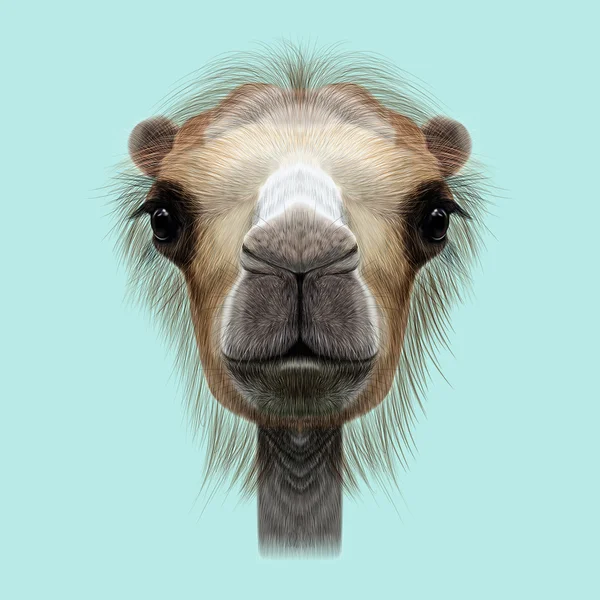 Retrato ilustrado de camello . —  Fotos de Stock
