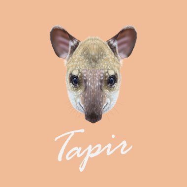 Vector Illustrated Portrait of Tapir. clipart