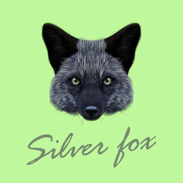 Vector portret geïllustreerd of Silver fox. — Stockvector