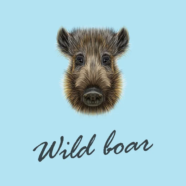 Vector illustreras av Wild boar. — Stock vektor