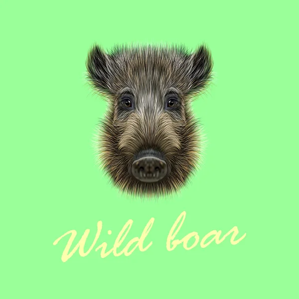 Vector Illustrated of Wild boar. — Stock Vector