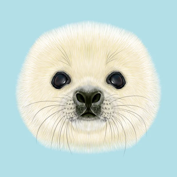 Retrato ilustrado de Harp Seal Pup . — Fotografia de Stock