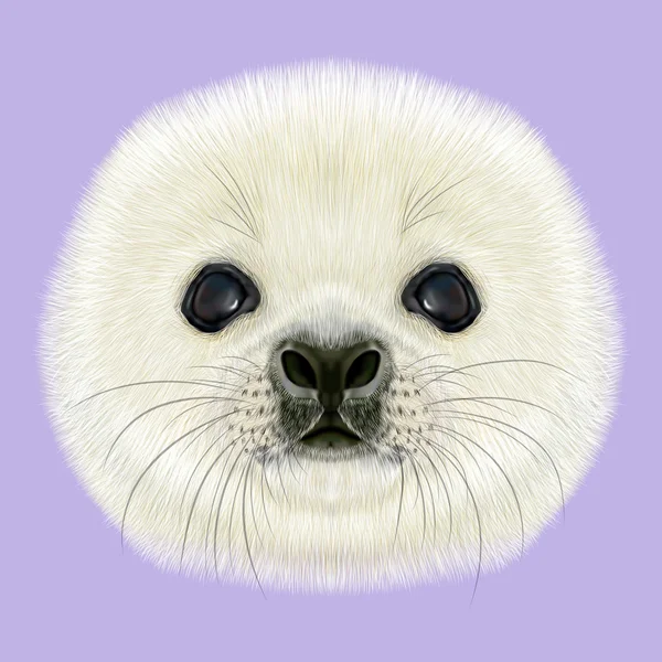 Ilustrowane portret harfa Seal Pup. — Zdjęcie stockowe