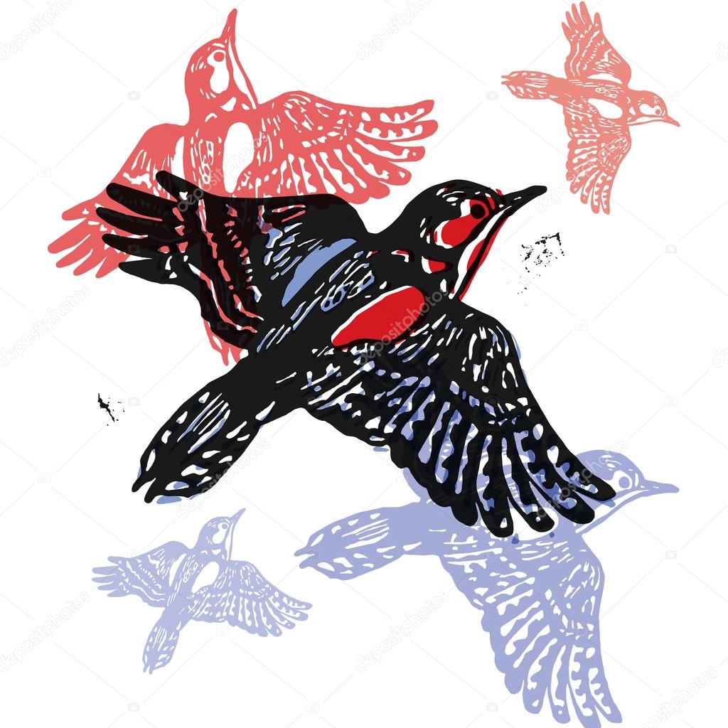 Vector woodpeckers in abstract composition. Linocut woodpeckers in flight in different colors on white background