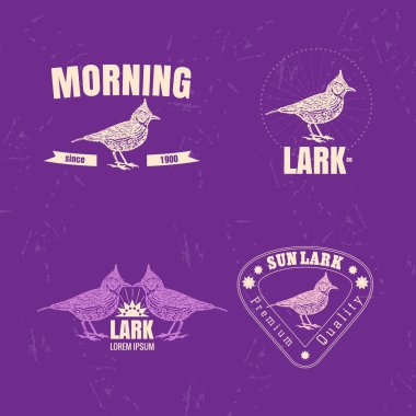 Vektör renkli logosu çöl Tepeli toygar kuş ile ayarlayın