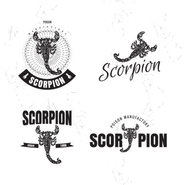 Vektör siyah beyaz logo akrep ile ayarlayın