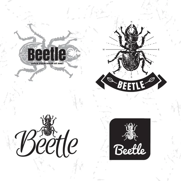 Logotipo vectorial en blanco y negro con escarabajo del bosque . — Vector de stock