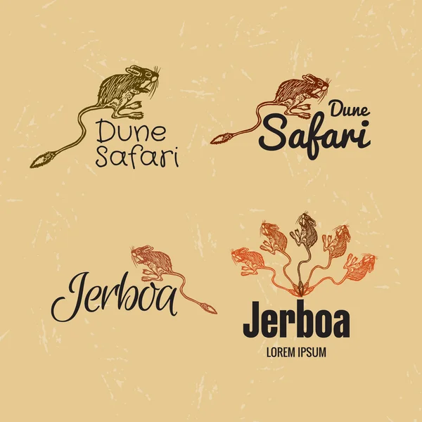 Logotipo colorido vetorial definido com deserto Jerboa — Vetor de Stock