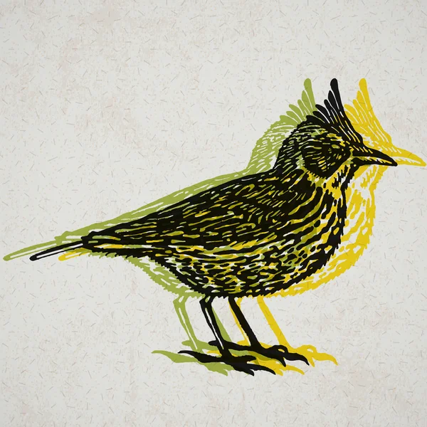 Vecteur Oiseau d'alouette illustré en technique gravée sur vieux papier — Image vectorielle