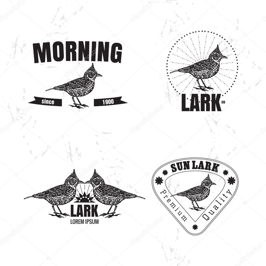 Vector black and white set with desert Crested lark bird. The lark bird as main element of logotypes on white background. Engraves vector design graphic element, emblem, logo, sign, identity, logotype