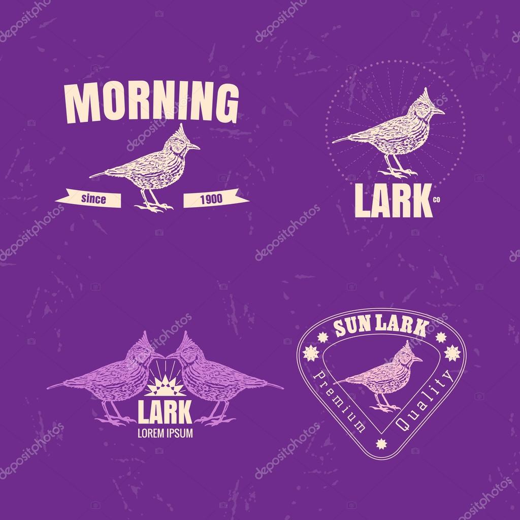 Vector colorful set with desert Crested lark bird. The lark bird as main element of logotypes on violet background. Engraves vector design graphic element, emblem, logo, sign, identity, logotype
