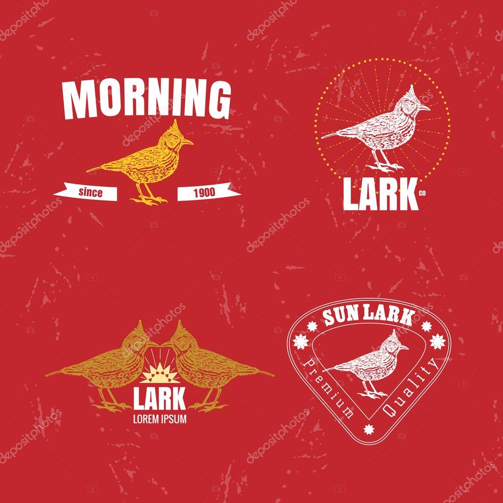 Vector colorful set with desert Crested lark bird. The lark bird as main element of logotypes on red background. Engraves vector design graphic element, emblem, logo, sign, identity, logotype