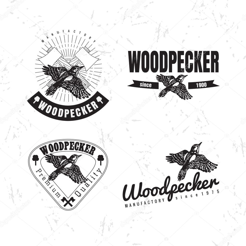 Vector black and white logo set with forest woodpecker bird. The woodpecker bird as main element of logotypes on white background. Engraves vector design graphic element, emblem, logo, sign