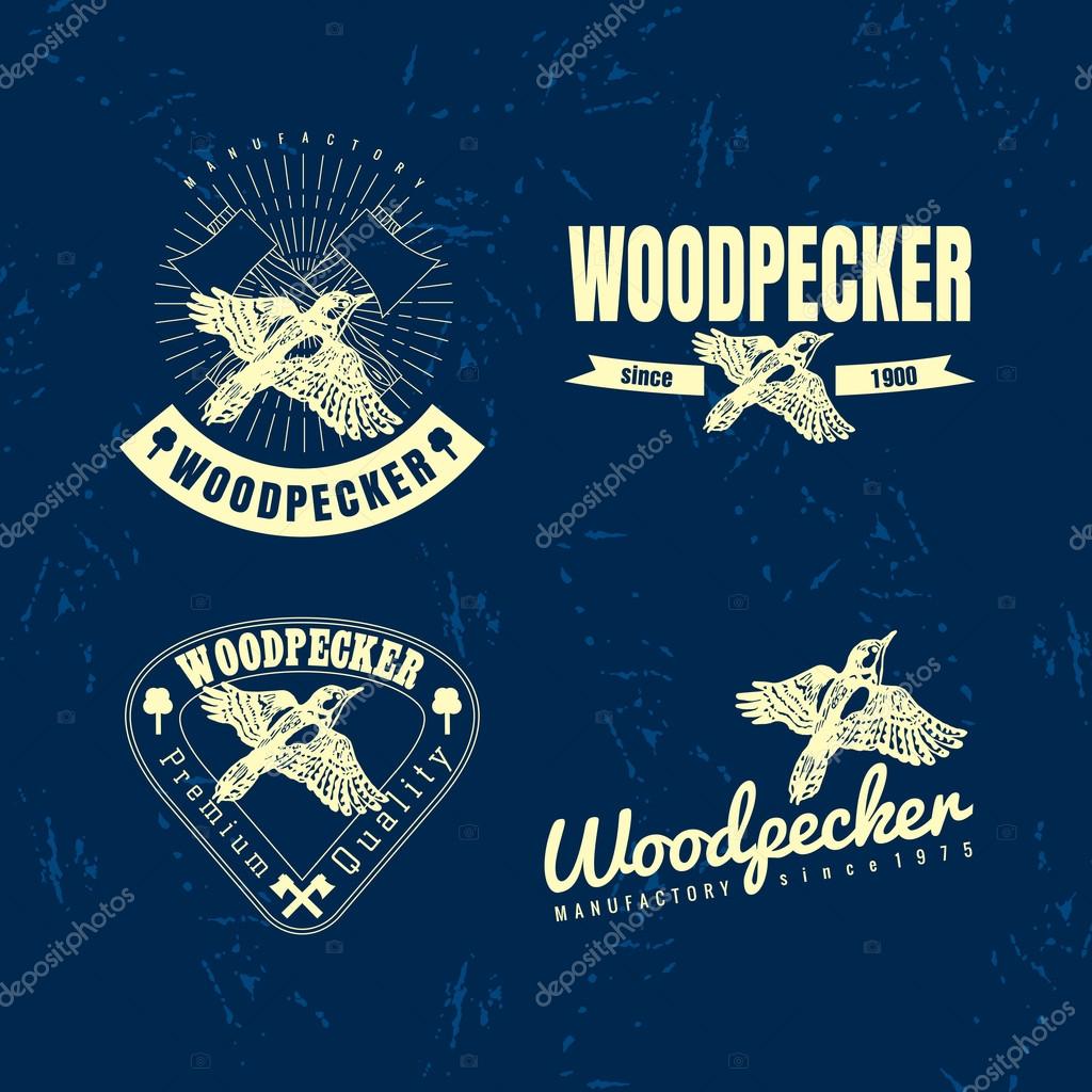 Vector colorful logo set with forest woodpecker bird. The woodpecker bird as main element of logotypes on dark blue background. Engraves vector design graphic element, emblem, logo