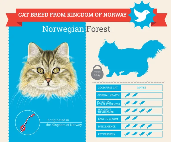 Norská lesní kočka plemene vektorové grafiky — Stockový vektor