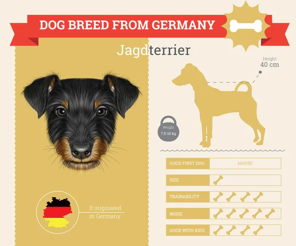 Jagdterrier Hunderasse Vektor-Infografik — Stockvektor
